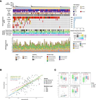 Integrative Genomic and Transcriptomic Analyses of Tumor Suppressor Genes and Their Role on Tumor Microenvironment and Immunity in Lung Squamous Cell Carcinoma